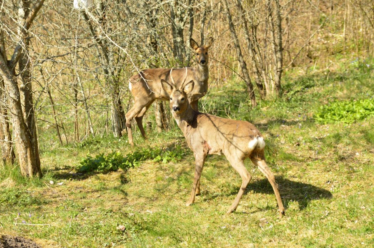 Hustugu Gard Villa Orsundsbro Bagian luar foto